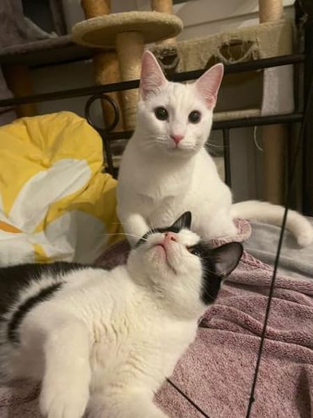 Probiers mal mit Gemütlichkeit