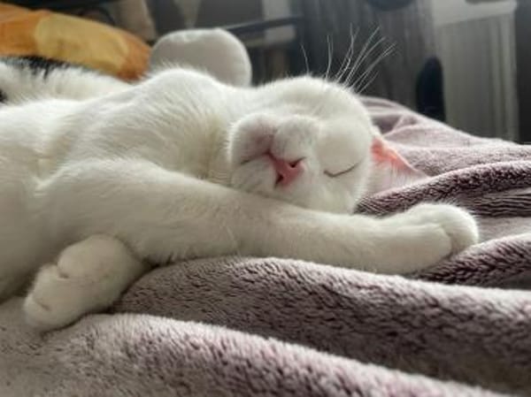 Probiers mal mit Gemütlichkeit