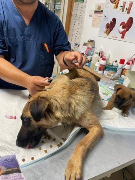 Umbra hat sich toll entwickelt