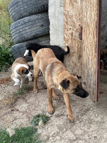 Umbra hat sich toll entwickelt