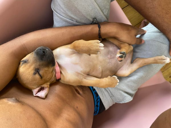 NUSTY le bout de chou