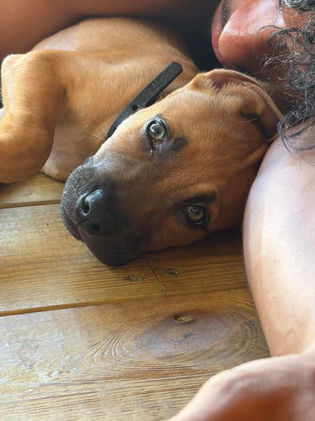 NUSTY le bout de chou