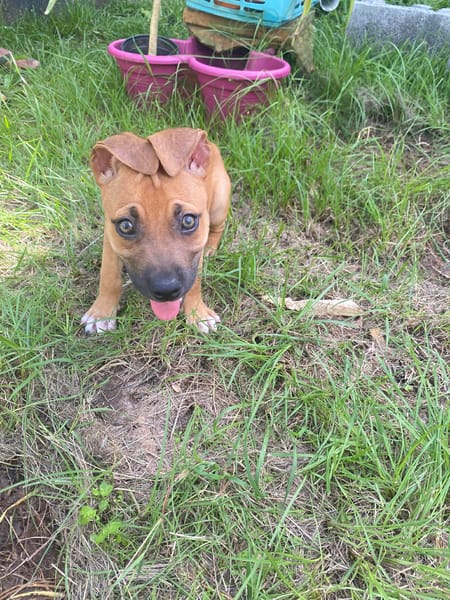 NUSTY le bout de chou