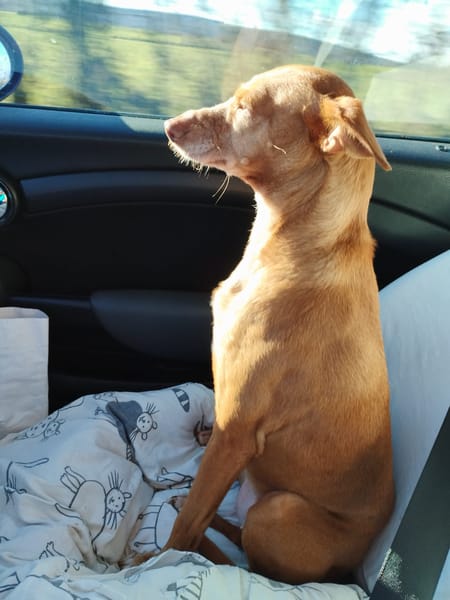 HERA (FA) ***URGENT***