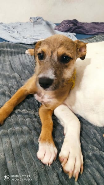 Ashley, la joie de vivre