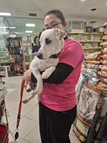 GIPSY 💚💚💚 sucht Für-immer-Zuhause