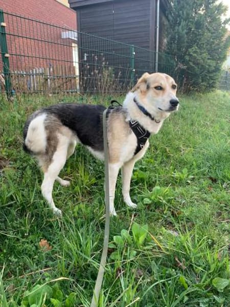 Mala sucht ruhige Familie