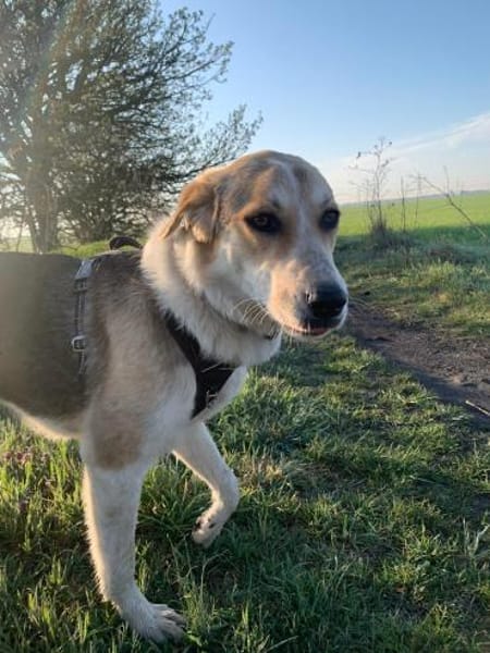 Mala sucht ruhige Familie