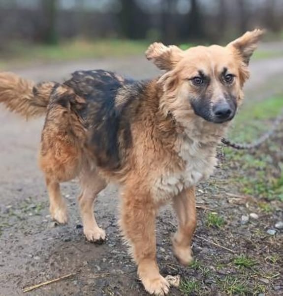 Eby, möchte nur eine Familie