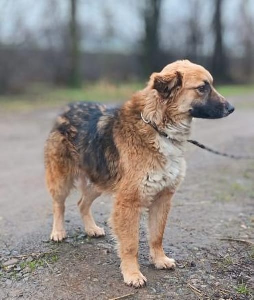 Eby, möchte nur eine Familie