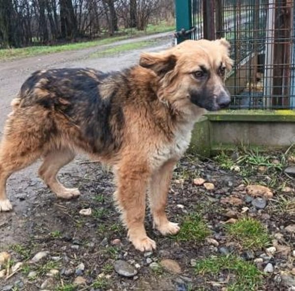 Eby, möchte nur eine Familie