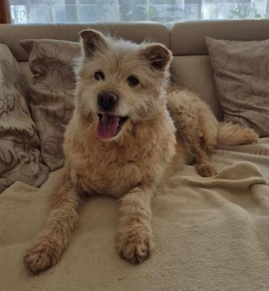 Stella 💚💚💚 sucht einfühlsame Menschen