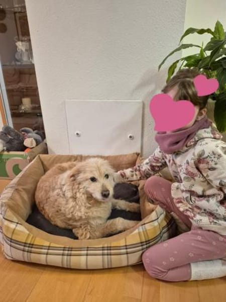 Stella 💚💚💚 sucht einfühlsame Menschen