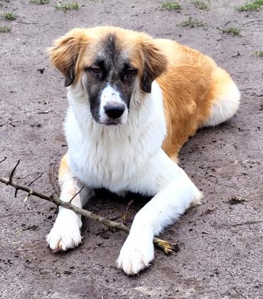 Martin sucht tolle Familie