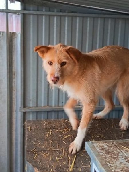 💔 Julia  sie wollte leben. 💔