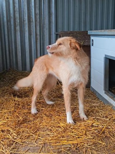 💔 Julia  sie wollte leben. 💔