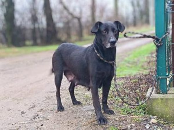 💔 Zum Tode verurteilt  weil sie Mama