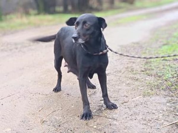 💔 Zum Tode verurteilt  weil sie Mama