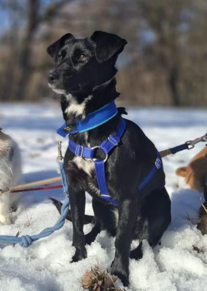 LISKA - zahrte Seele wartet in Augsburg