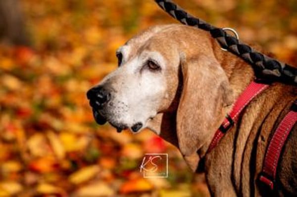 Rei möchte sein Leben genießen