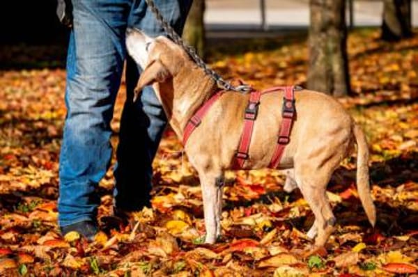 Rei möchte sein Leben genießen