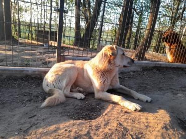 Freundlicher Fermin wartet schon so lang