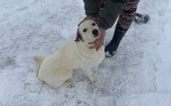 Fröhlicher Sausewind Eik