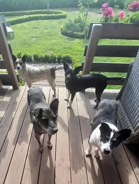 Sarah bereits in Deutschland