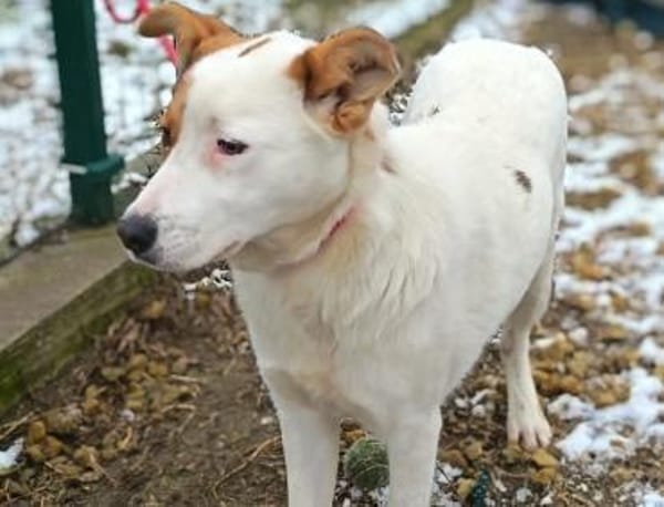 ❤ Alexa  eine junge Seele