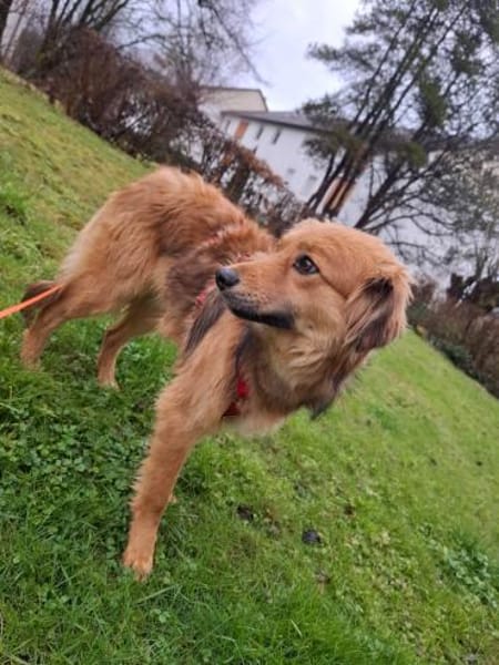 Emmi möchte ihre eigene Familie erobern