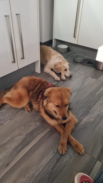 Emmi möchte ihre eigene Familie erobern