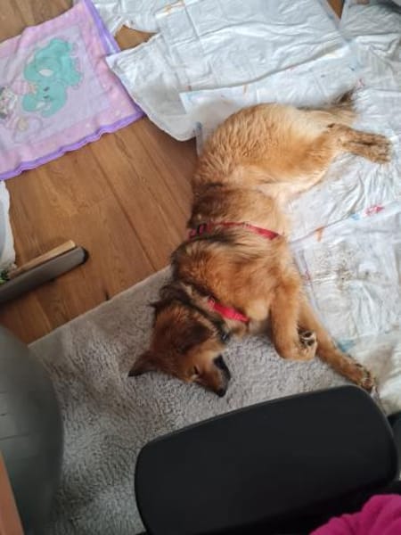 Emmi möchte ihre eigene Familie erobern