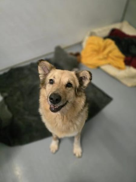 Alicia mit ganz viel Herz