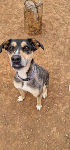 Tata ist immer gut gelaunt