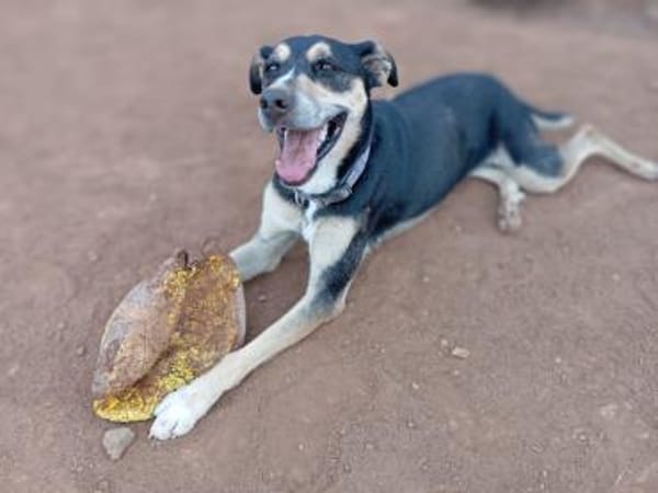 Tata ist immer gut gelaunt