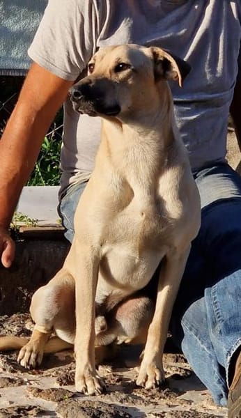 Abao ist ein fröhlicher