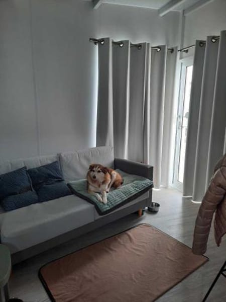 Sandy - hübsche Omi sucht Zuhause