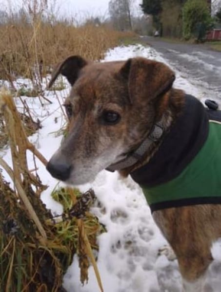 Ganya schließt man sofort ins Herz!