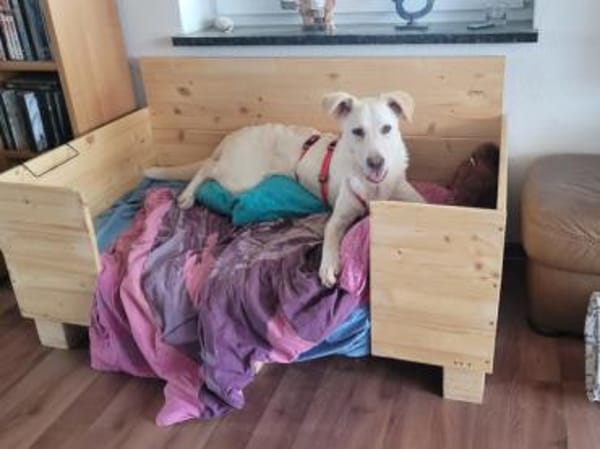 Baran möchte Ihre Familie bereichern?