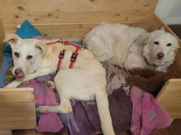 Baran möchte Ihre Familie bereichern?