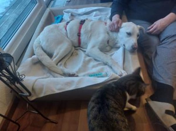 Baran möchte Ihre Familie bereichern?