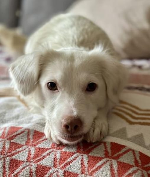 Holiday, geb. ca. 07/2024, 24114 Kiel