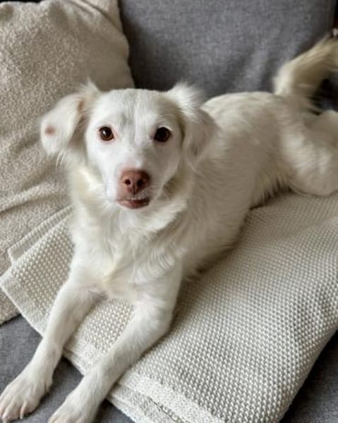 Holiday, geb. ca. 07/2024, 24114 Kiel