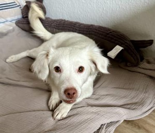 Holiday, geb. ca. 07/2024, 24114 Kiel