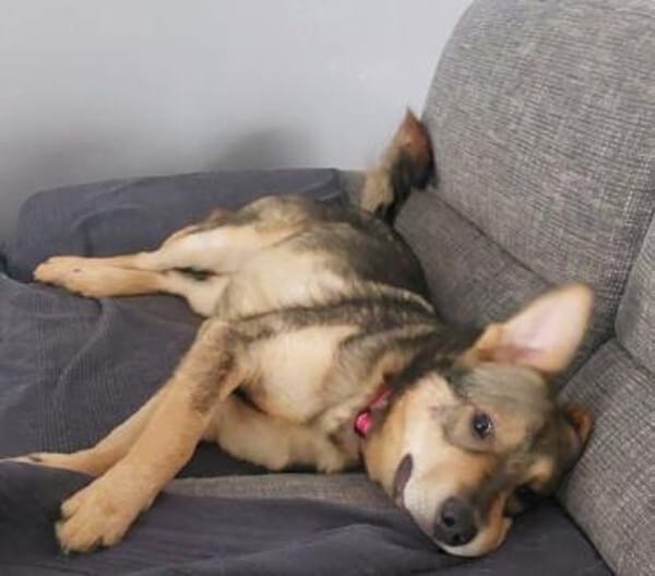 Jampy * und ab ins Herz seiner Menschen