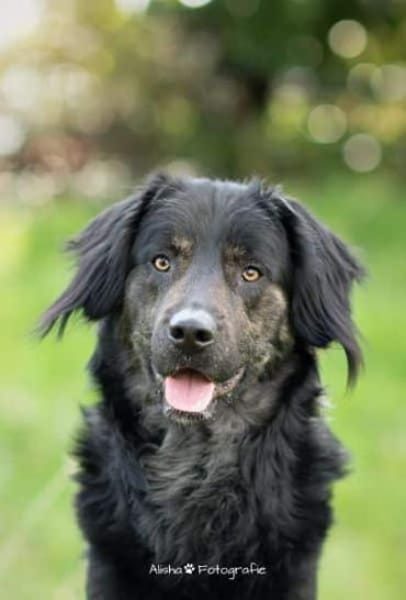 JAMPY2 * sportlicher Schmuser