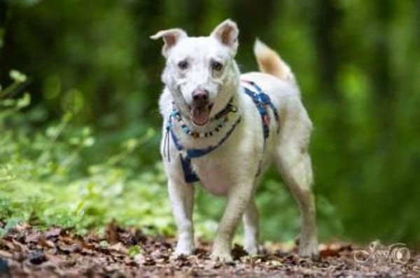 JONATHAN -sucht erfahrene Menschen-