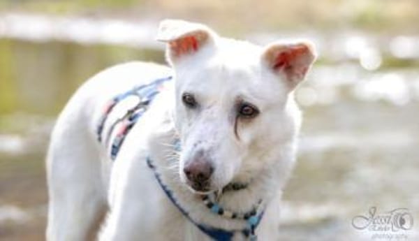 JONATHAN -sucht erfahrene Menschen-