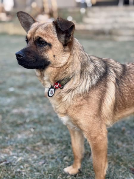 Molly, klein und sehr lieb