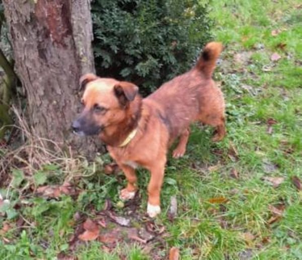 VEITILI -klein & verschmust-